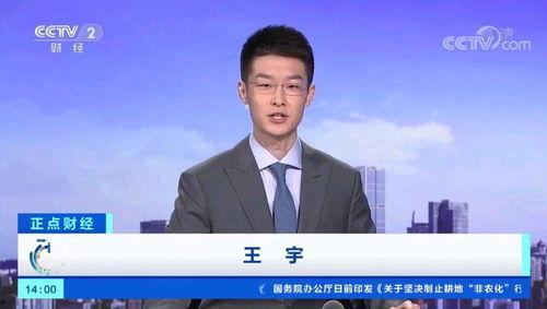 王宇媳妇爆料新闻事件,揭秘事件背后惊人真相